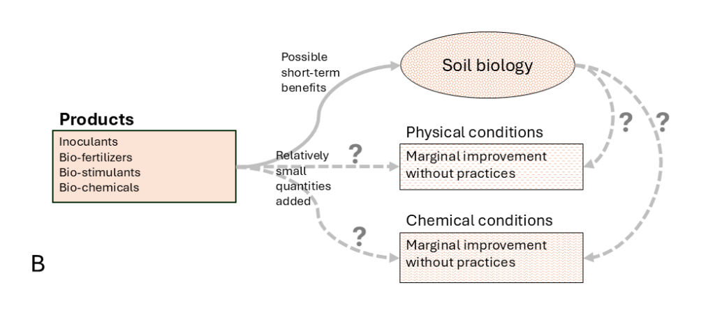 Products, such as inoculants, bio-fertilizers, bio-stimulants, and biochemicals, influence the soil biology with possible short-term benefits. There is little to no evidence for improvement of physical or chemical conditions, and relatively small quantities added.