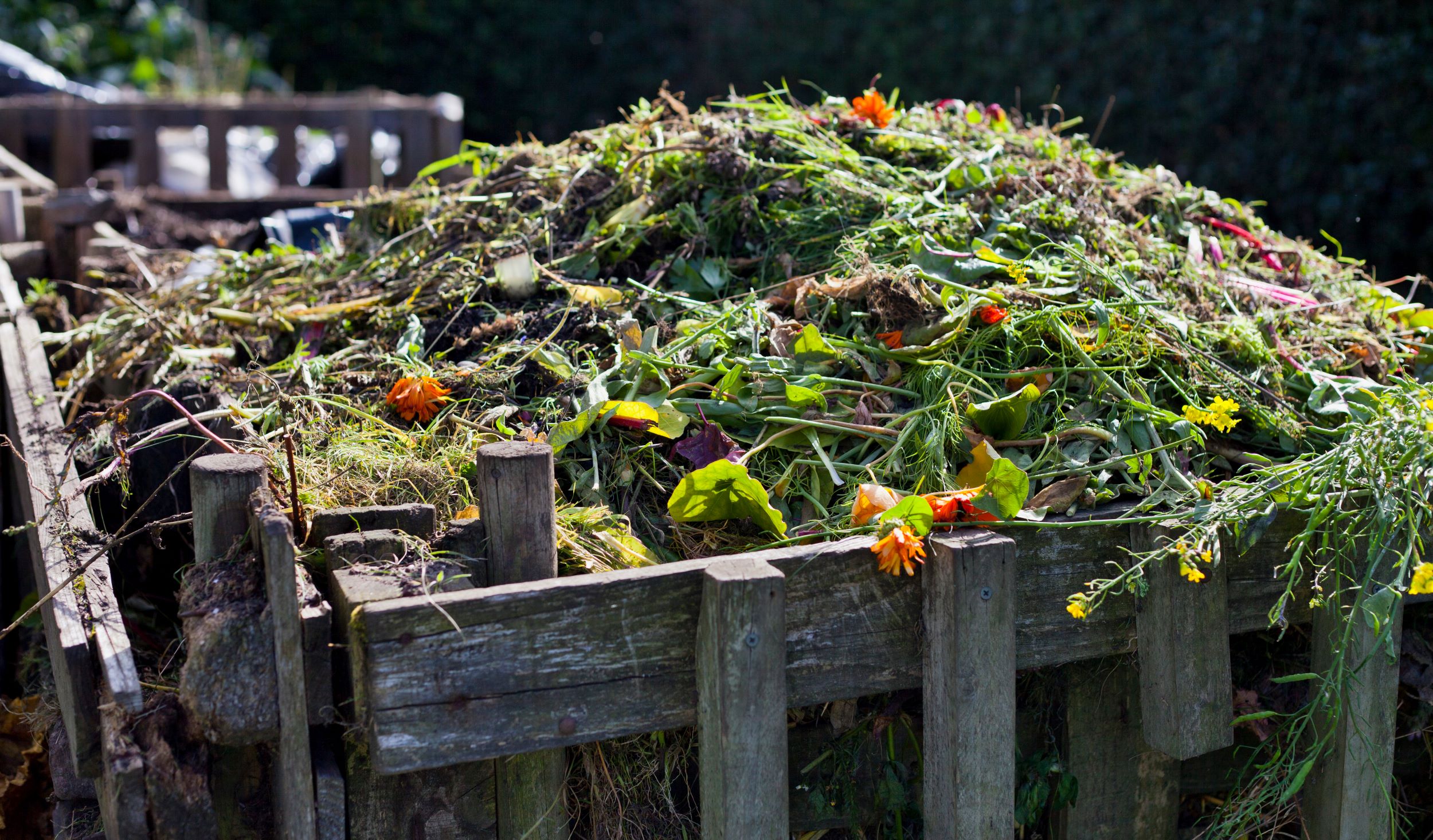 Wooden bin of compostable material