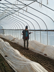Person walking in a greenhouse next to rows of soil