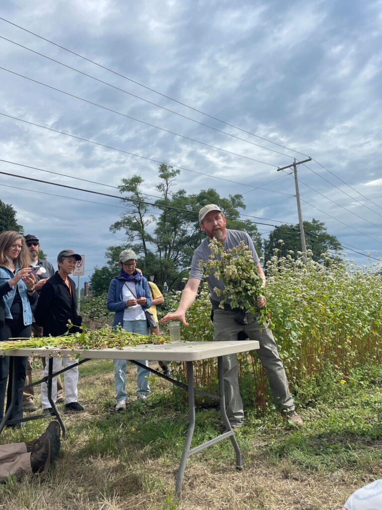 Man standing in front of table holding a bunch of buckwheat, with people looking on. 