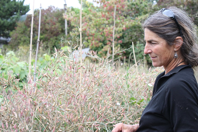 Woman looking at a field with trees in the background