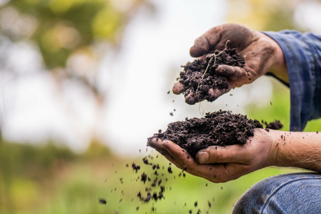 Two hands holding soil