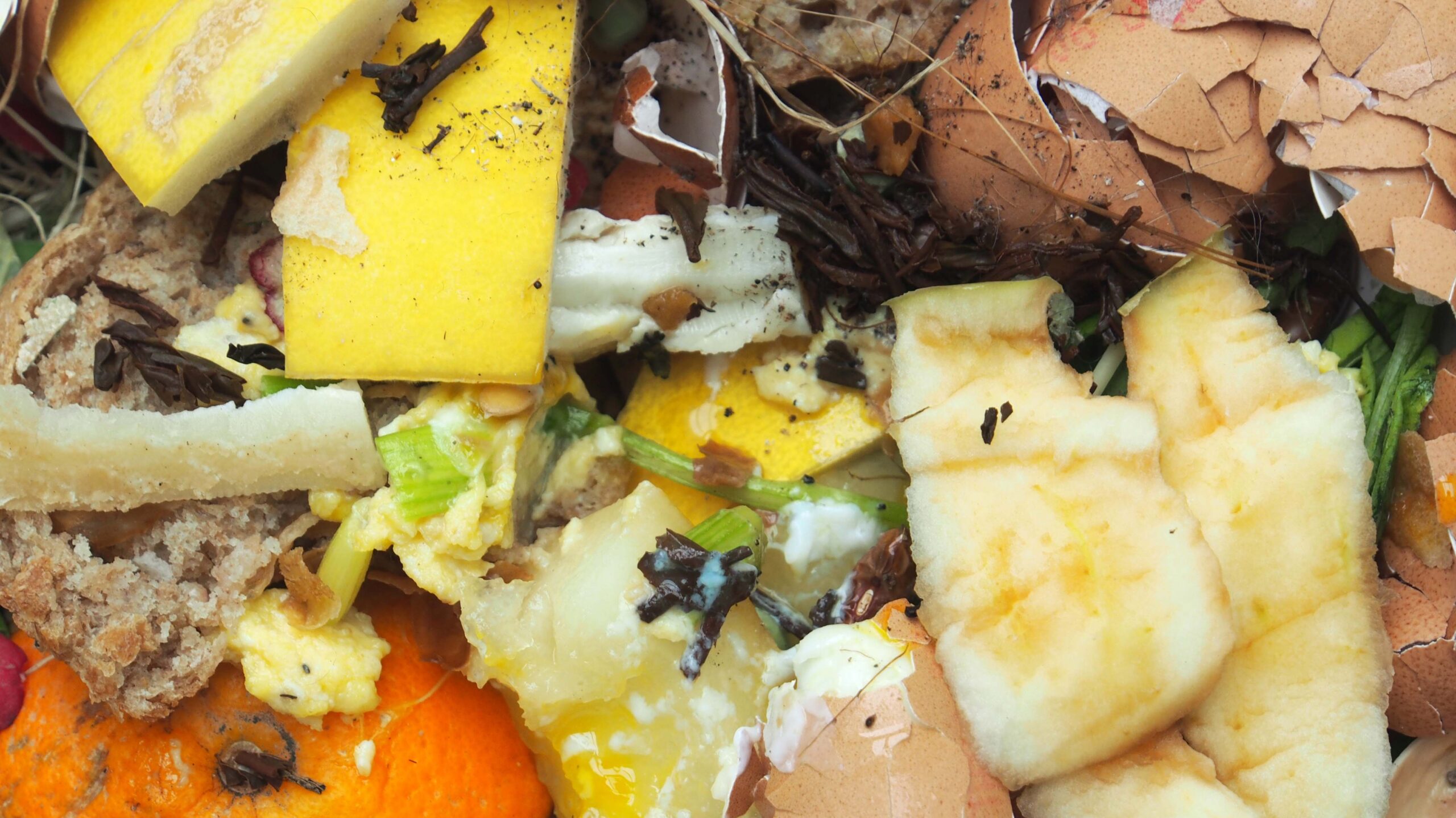 Various food scraps ready for compost. Adobe Stock Photo