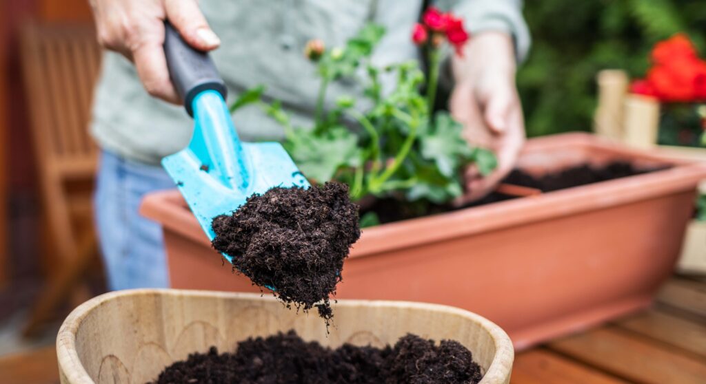 A person is out of focus in the background planting a geranium in a terra cotta colored window box. In the foreground the person is holding a small blue trowel and scooping compost out of a wooden bucket. Adobe Stock Photo. https://csanr.wsu.edu/dig-into-compost/