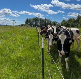 Read about the report.