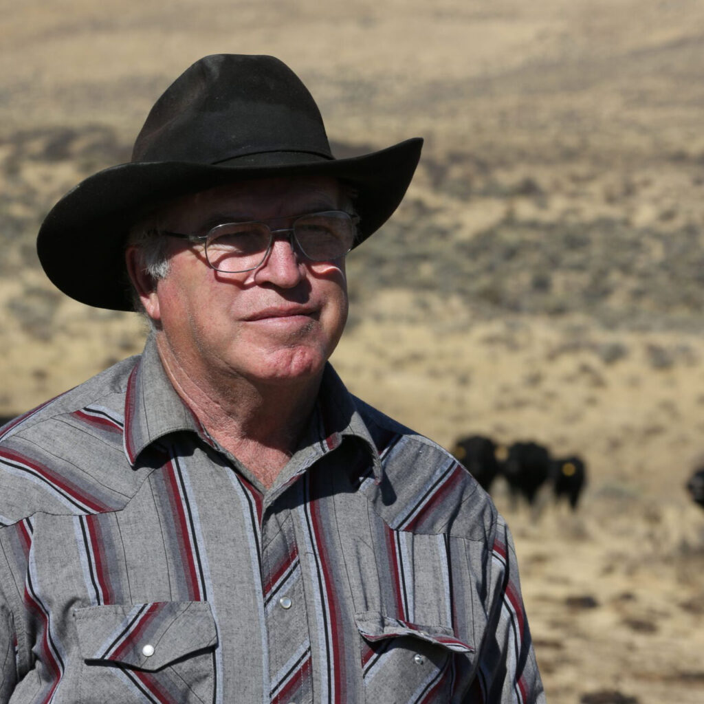 Thumbnail from Stingley Case Studies video shows many in hat standing among range cattle in arid landscape.