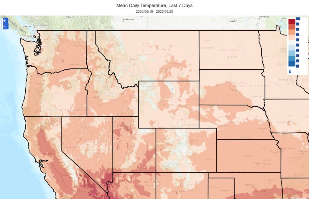 Screenshot of mean daily temperature in northwest United States during the summer.