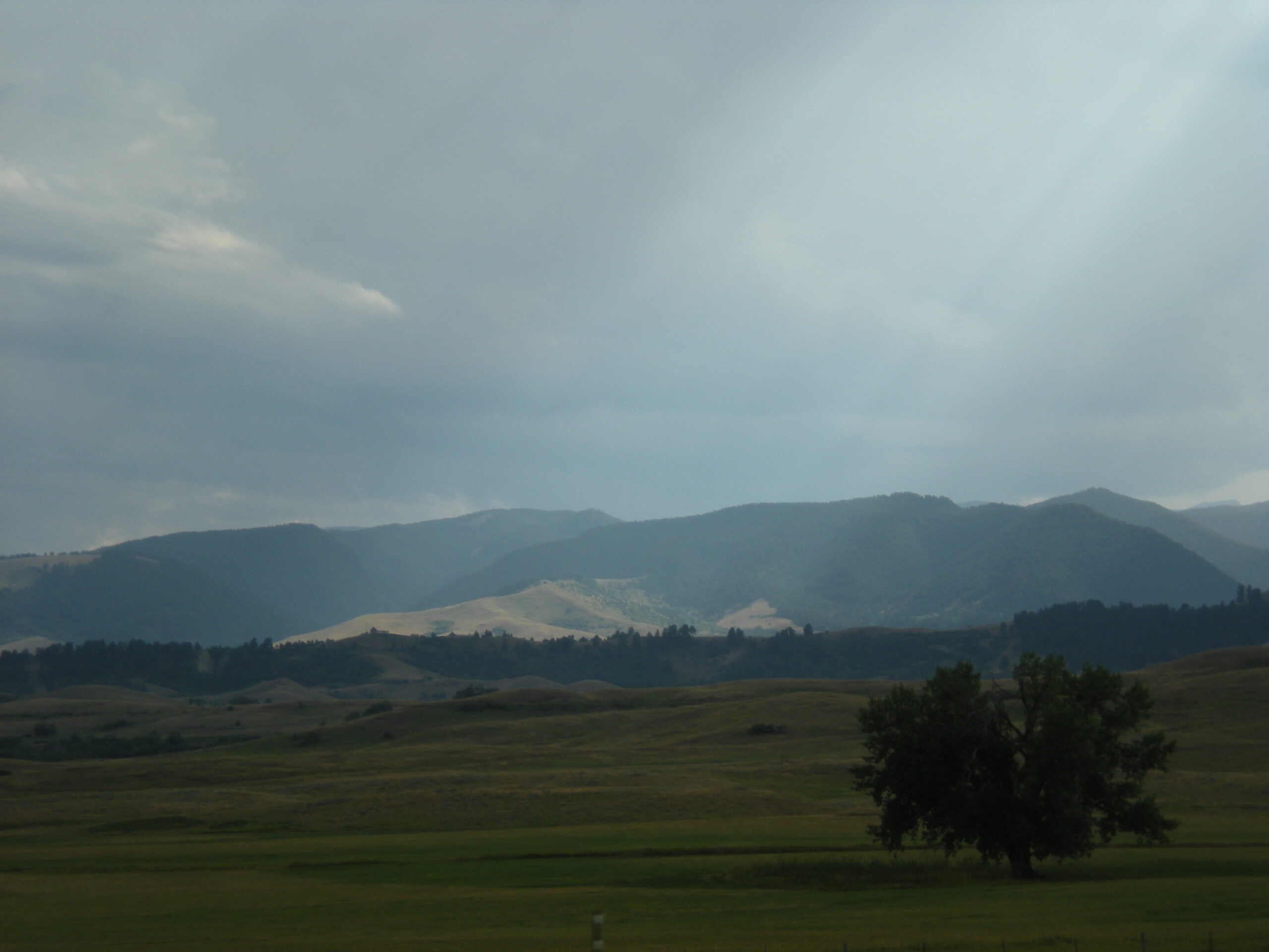 Sunlight streaming onto Washington grazing lands.