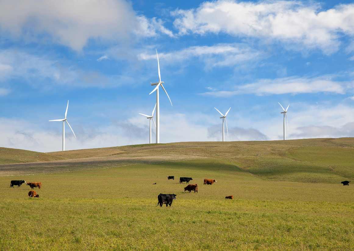 Wind turbines on rangelands. 