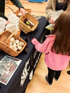 A girl in a pink jacket examines green and red grapes in a basket at the youth farmers market.