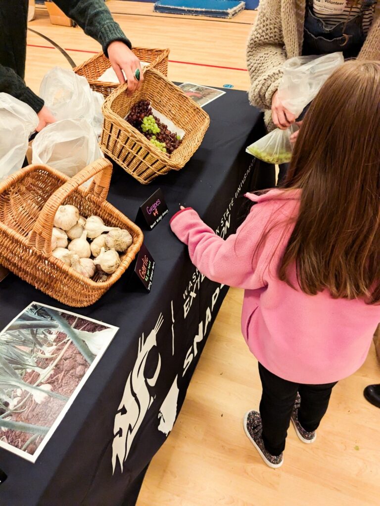A girl in a pink jacket examines green and red grapes in a basket at the youth farmers market.