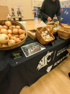 onions and garlic on display in baskets at the youth farmers market.