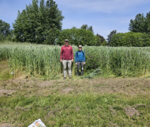 Two people stand in front of tall crops on a sunny day.