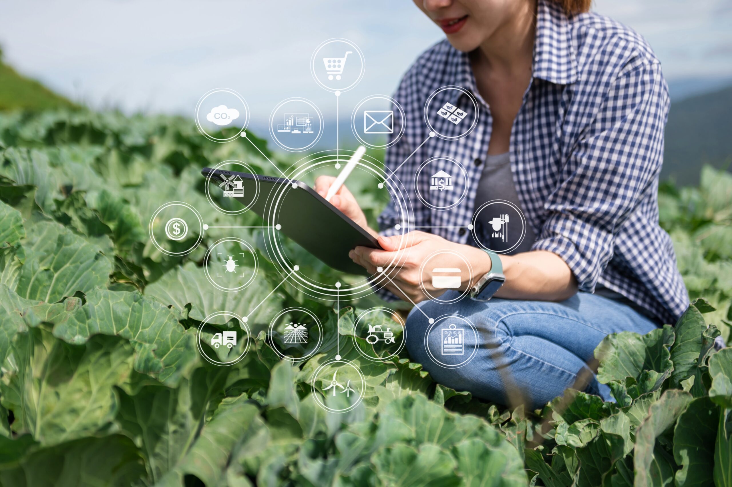 A woman holds an iPad above rows of brassica crops. From the iPad, small white bubbles appear with icons related to agricultural technology.