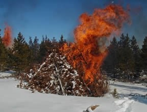 Forest slash burn pile on fire.