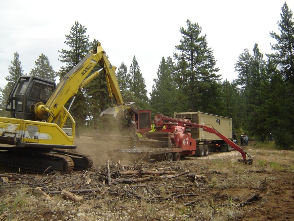 Heavy machinery moves small logs.