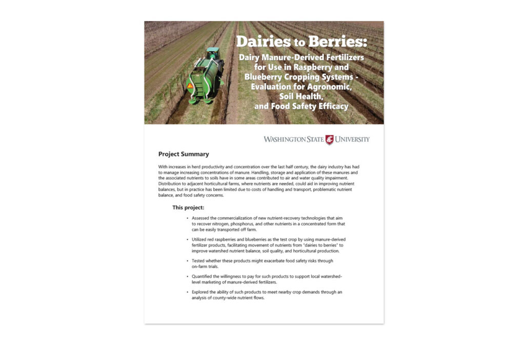Report cover for Dairies to Berries.