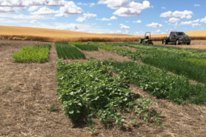 Farm equipment sits on a field on a partly cloudy day.