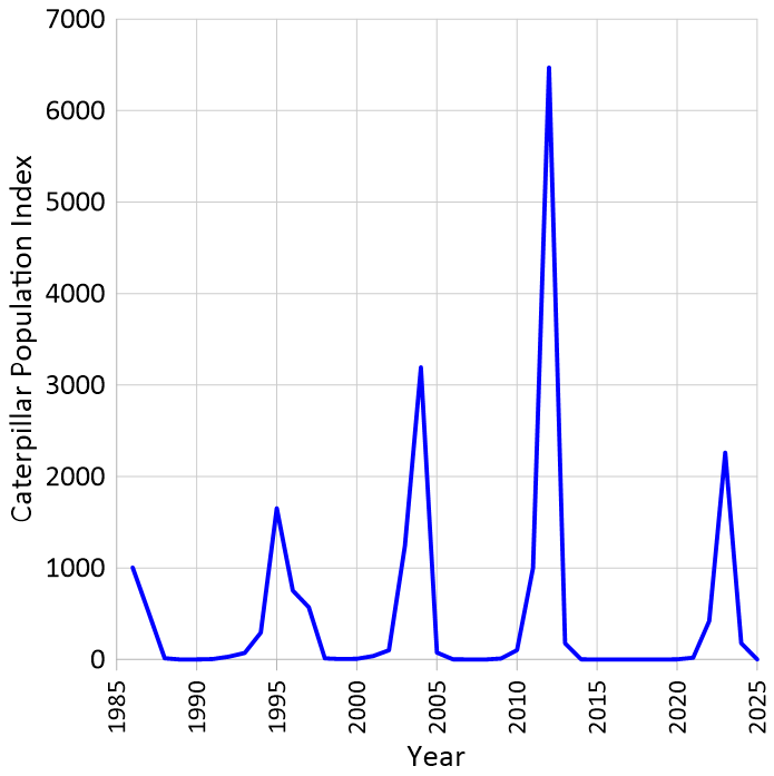 Un gráfico que muestra el índice de población de orugas en el eje Y y los años 1985 a 2025 en el eje X. La población varía entre cero y 1000 hasta alcanzar aproximadamente los 6500 individuos cada 8 años.