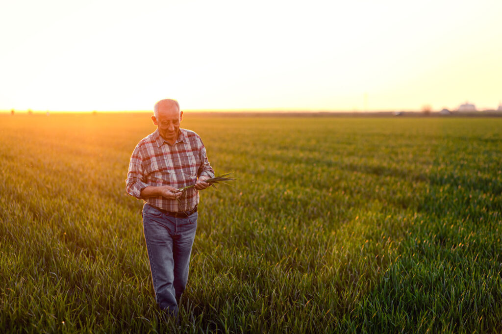 Agricultor en un campo.