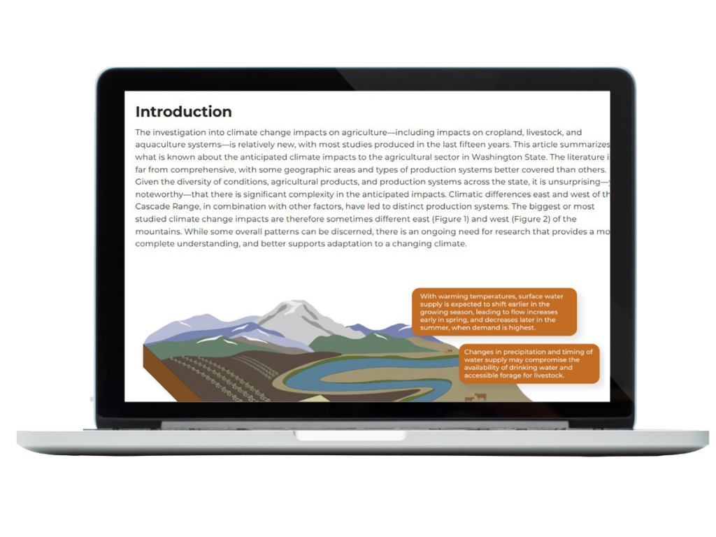 Laptop showing screenshot of website with Extension publication.