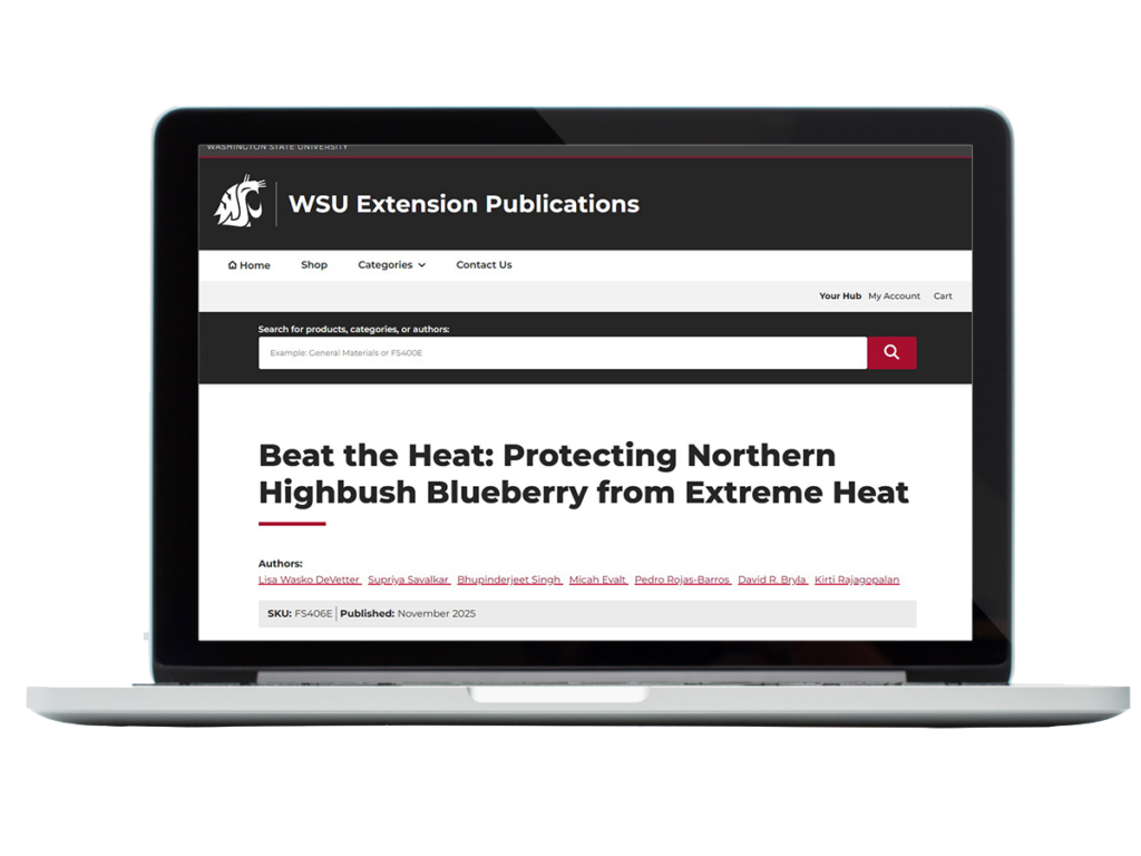 Laptop with the Beat the Heat publication pulled up.