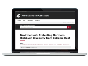 Laptop with the Beat the Heat publication pulled up.