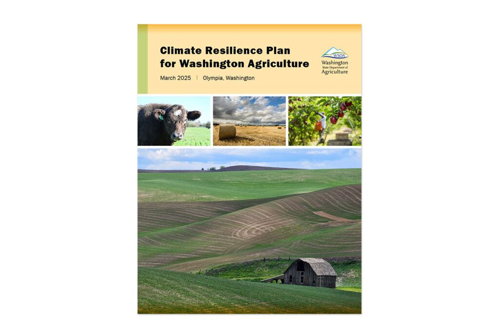 Illegible report cover.