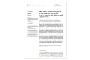 Illegible publication PDF screenshot.