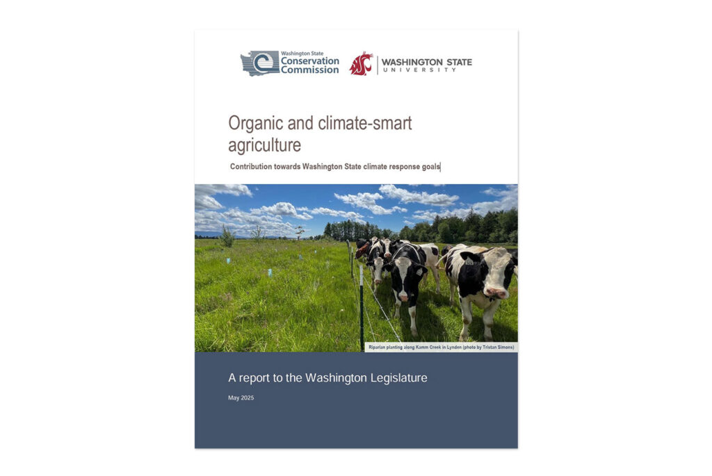 Illegible publication PDF screenshot.