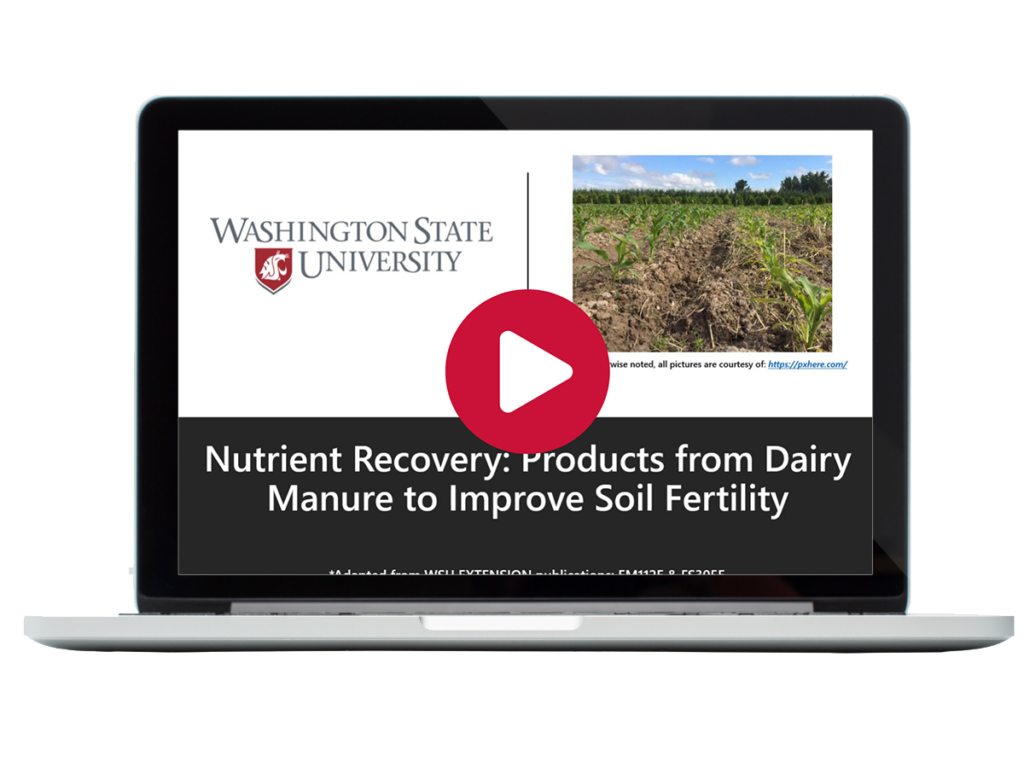 Laptop showing illegible title card of online video.