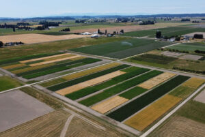 Aerial view of fields.