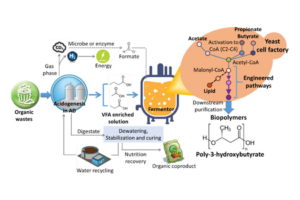 Complex and illegible diagram.