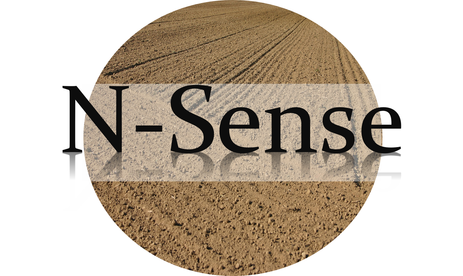N-Sense LLC