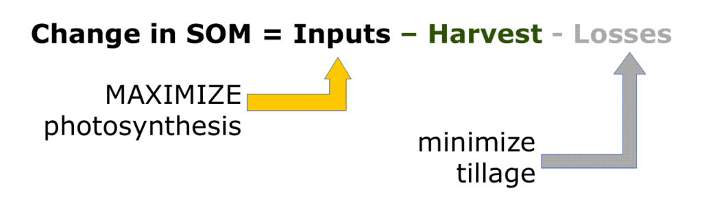 The same equation as above in the text, but with "maximize photosynthesis" pointing to Inputs and "minimize tillage" pointing to Losses.