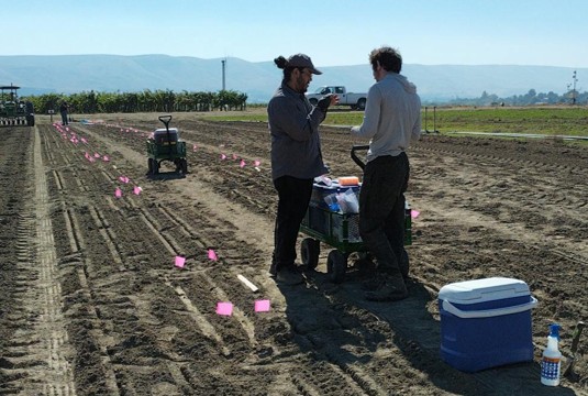 Two people stand in a field.