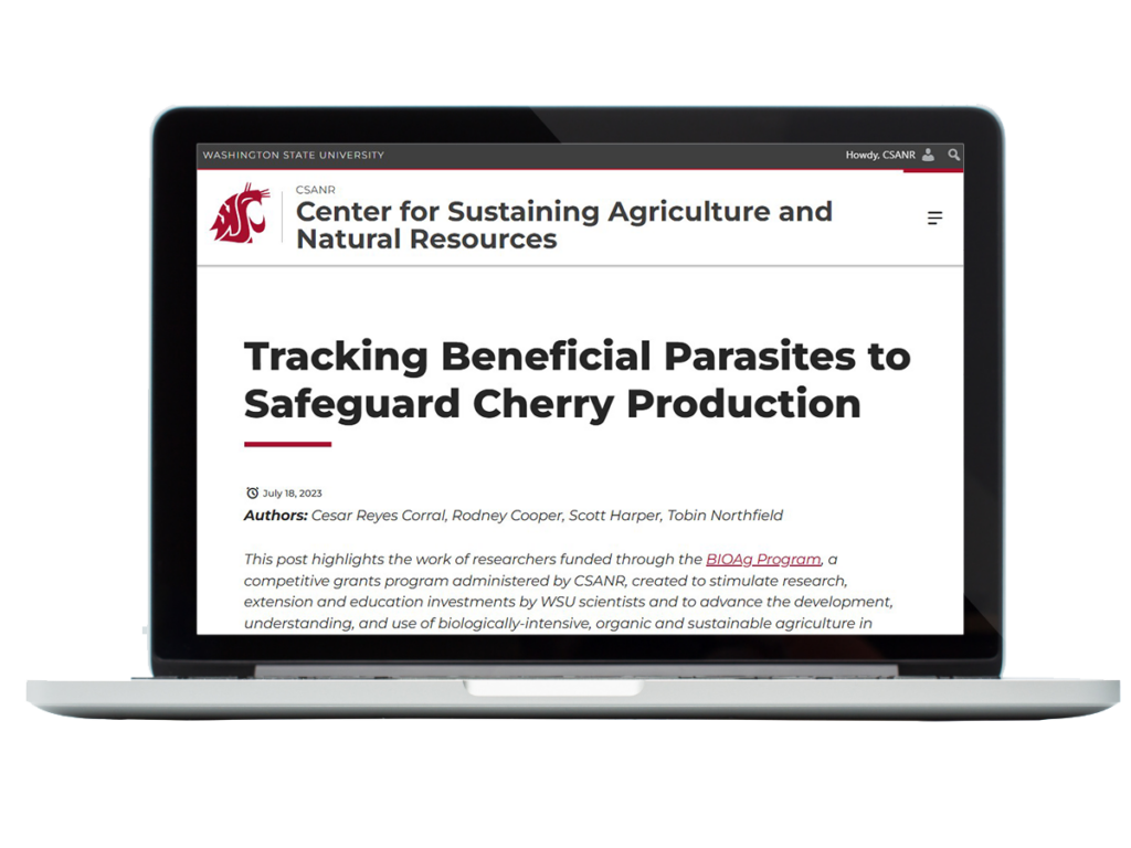 Laptop with screenshot of blog post superimposed.