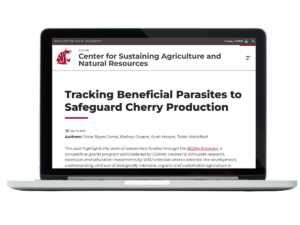 Laptop with screenshot of blog post superimposed.