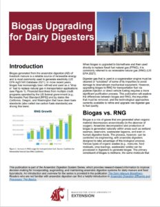 Illegible screenshot of PDF.