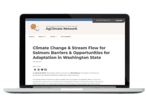 Illegible blog post screenshot superimposed on laptop.