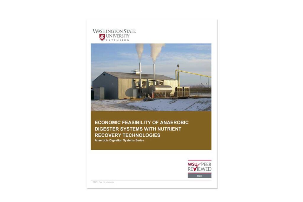 Screenshot of report cover.