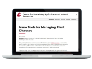 Laptop with screenshot of blog post superimposed.