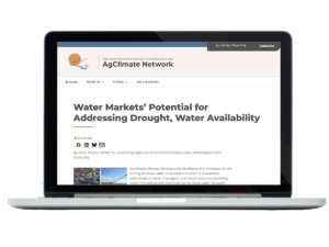 Illegible blog post screenshot superimposed on laptop.