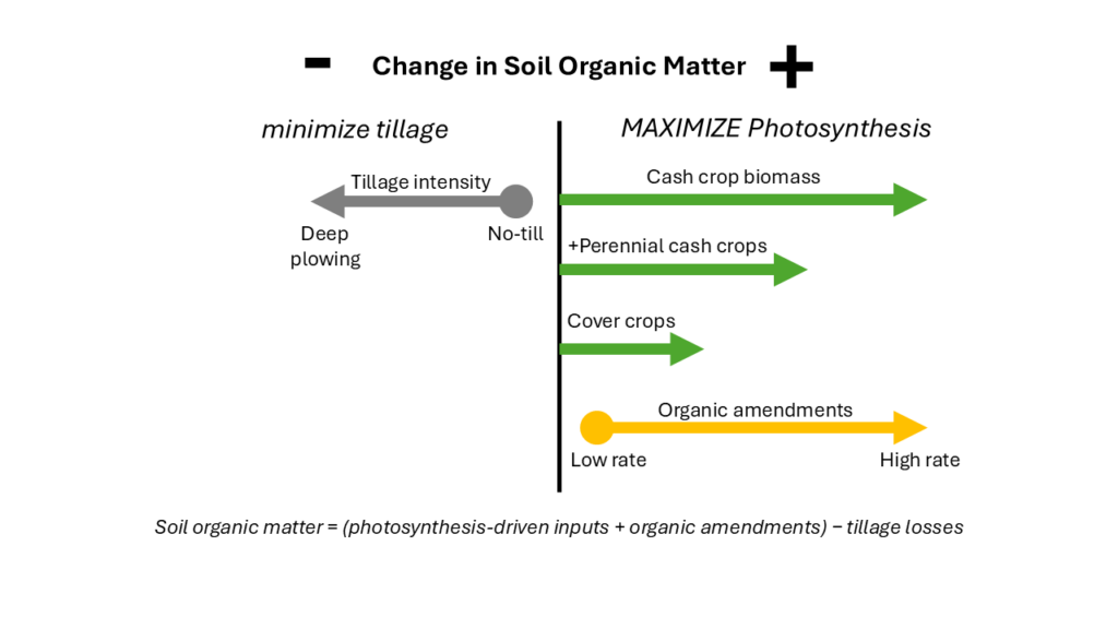 Less-and-more type visual showing minimizing tillage does not affect soil organic more whereas maximizing photosynthesis results in increased cash crop biomass, more perennial cash crops, more cover crops, and organic amendments somewhat affect it.