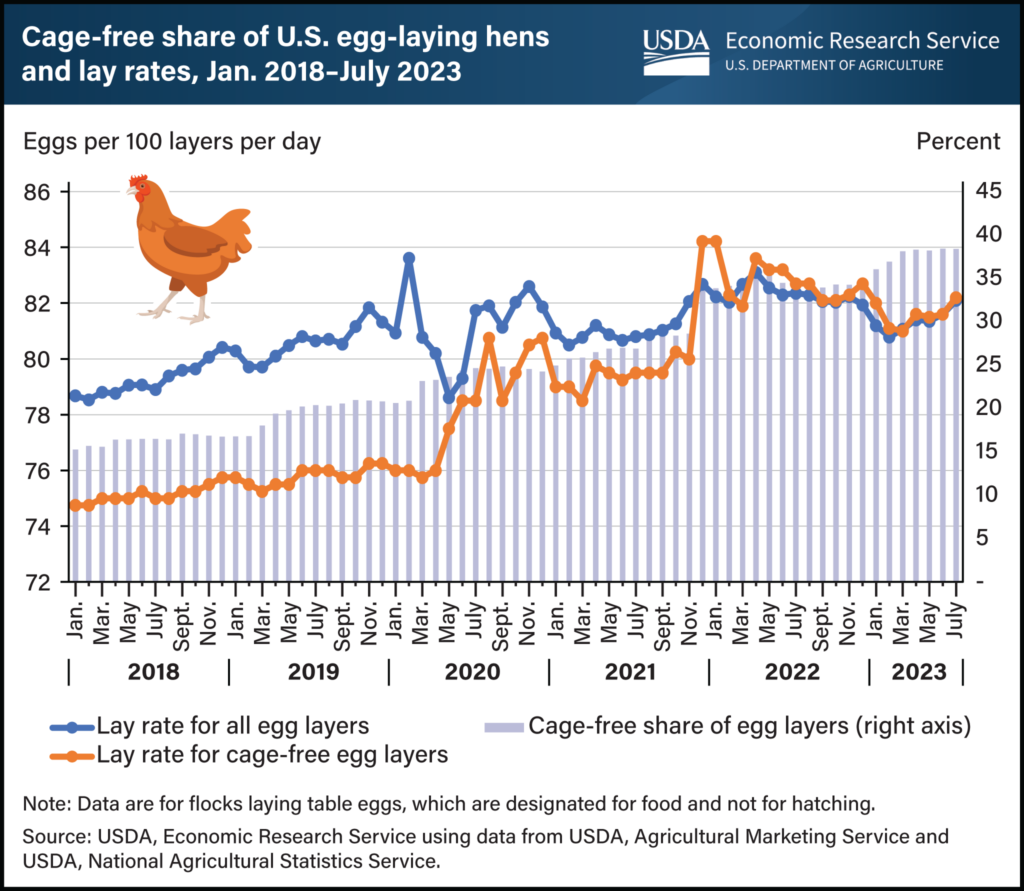 Chart titled "Cage-free share of U.S. egg-laying hens and lay rates, Jan. 2018–July 2023" shows that the cage-free share of egg layers has steady increased from less than 20% to nearly 40% between 2018 and 2023 while the lay rate for cage-free has converged with that of the historically more efficient non-caged birds.