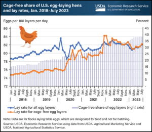 Chart titled "Cage-free share of U.S. egg-laying hens and lay rates, Jan. 2018–July 2023" shows that the cage-free share of egg layers has steady increased from less than 20% to nearly 40% between 2018 and 2023 while the lay rate for cage-free has converged with that of the historically more efficient non-caged birds.
