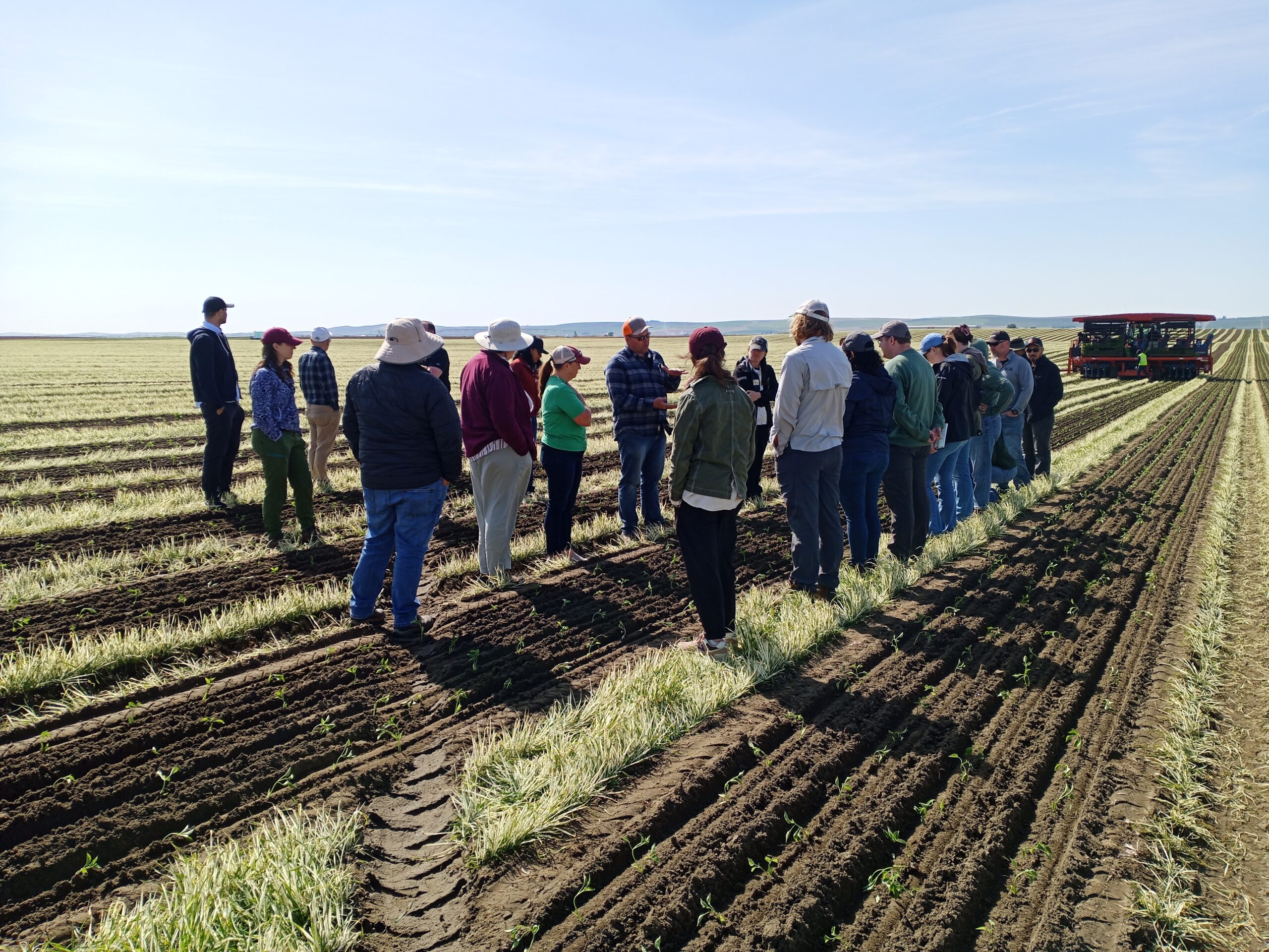 People stand in a field.