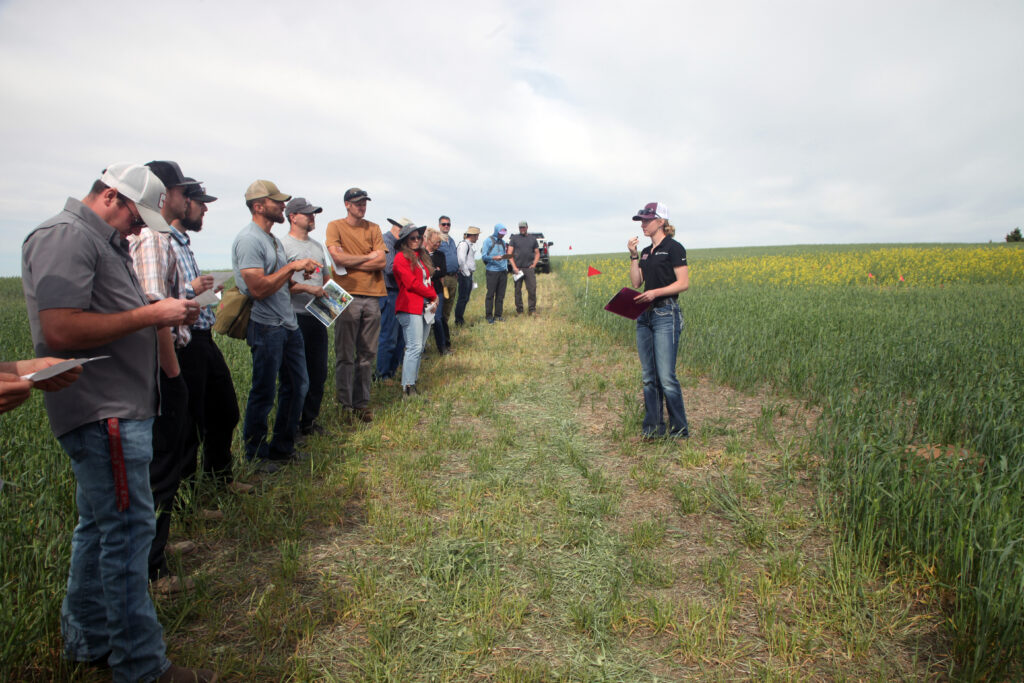 A group stands in a field listening to a young person talking.