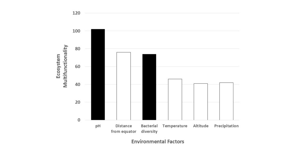 Bar chart with x-axis representing environmental factors and y axis representing ecosystem multifunctionality. Factors are compared, with pH coming in at over 100, distance from the equator around 75, bacterial diversity very slightly less than equatorial distance, temperature under 50, and altitude and precipitation around 40. Unit of measurement is unclear.