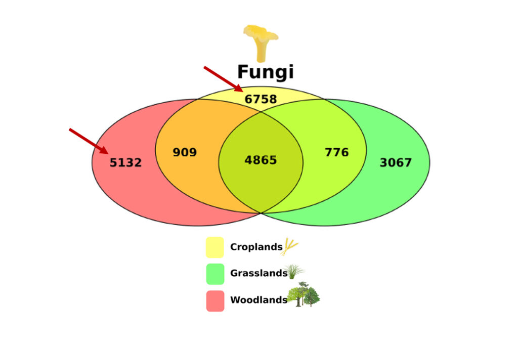 A figure with Venn diagram showing fungal diversity in croplands, grasslands, and woodlands.Cropland totals 5758, woodlands totals 5132, and grasslands total 3067.